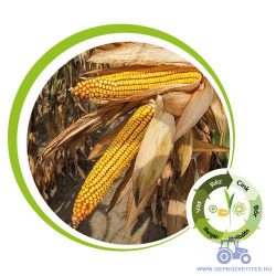 Kiskun 4291 korai kukorica vetőmag (FAO 290) +mikroelemes csávázás