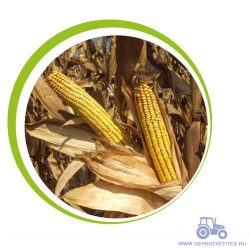 Kiskun 4390 kukorica vetőmag (FAO 400)